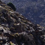 Sidi Chamharouch Trek