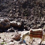 Sidi Chamharouch Trek