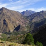 Berber Village Excursion